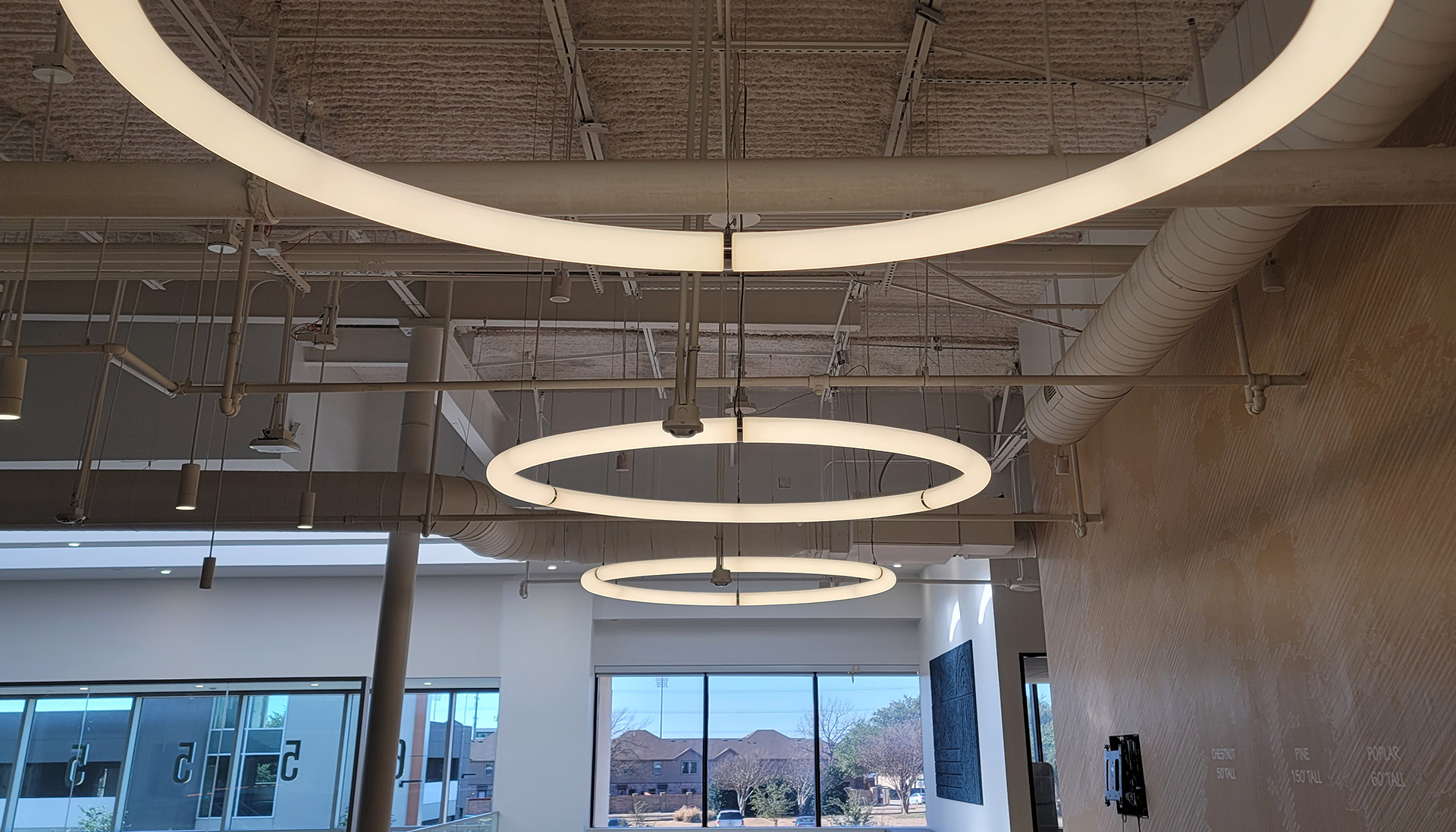 Circular light fixtures hang from ceiling